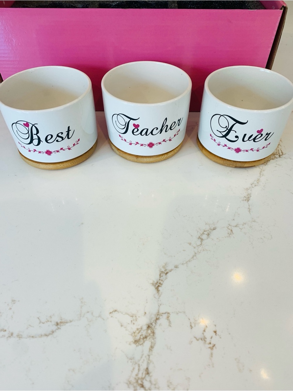 Mini Planter Pots “Best Teacher Ever” Set Of (3) NEW In Box.
